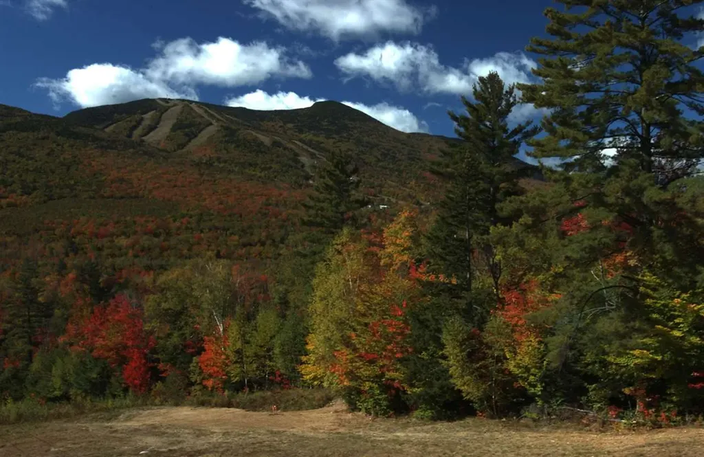 58 Cascade Ridge Road Waterville Valley NH 03215