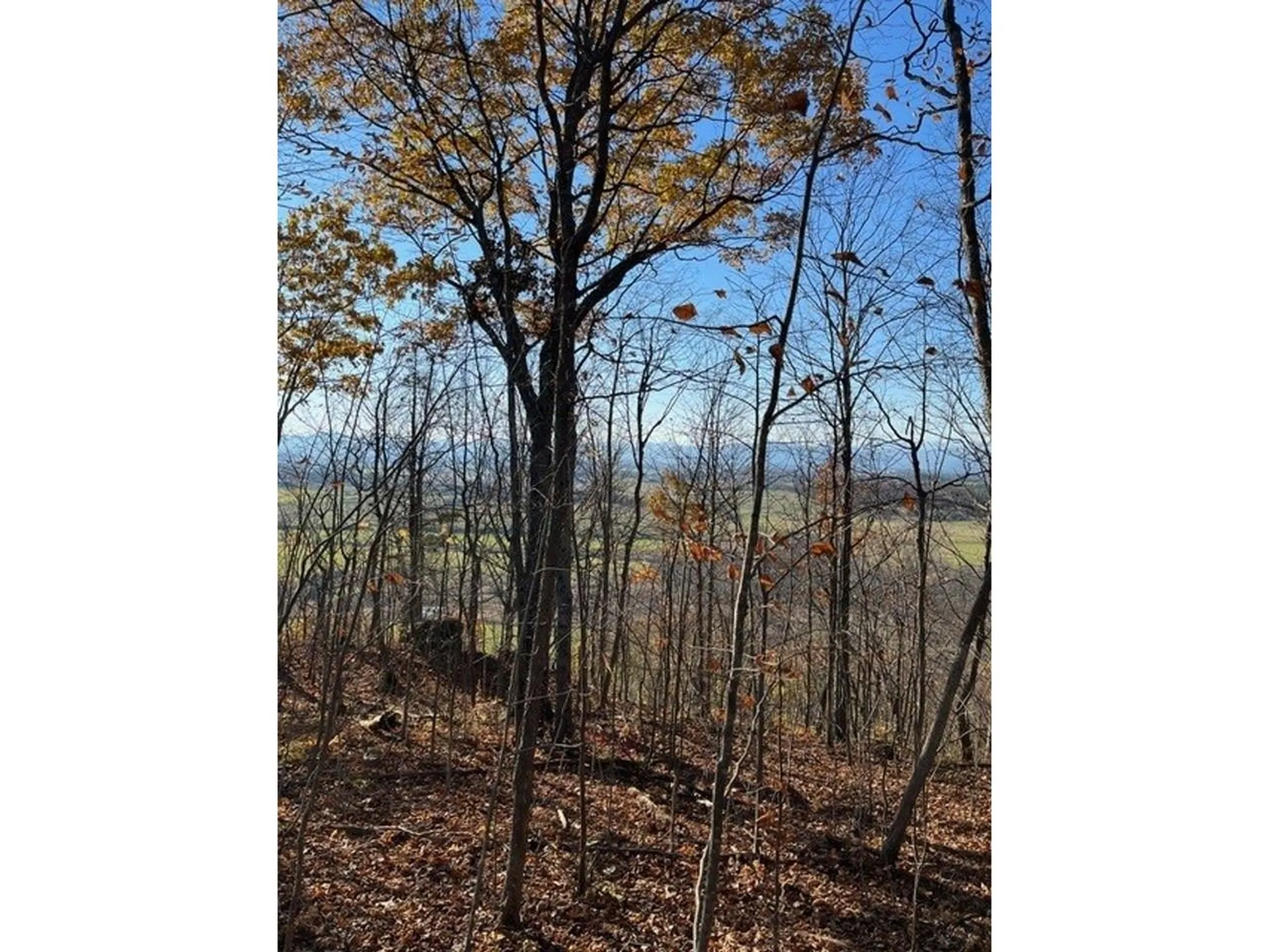 Tbd Hemenway Road Bridport VT 05753