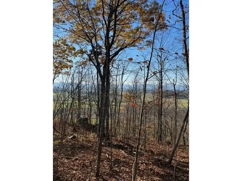 Tbd Hemenway Road Bridport VT 05753