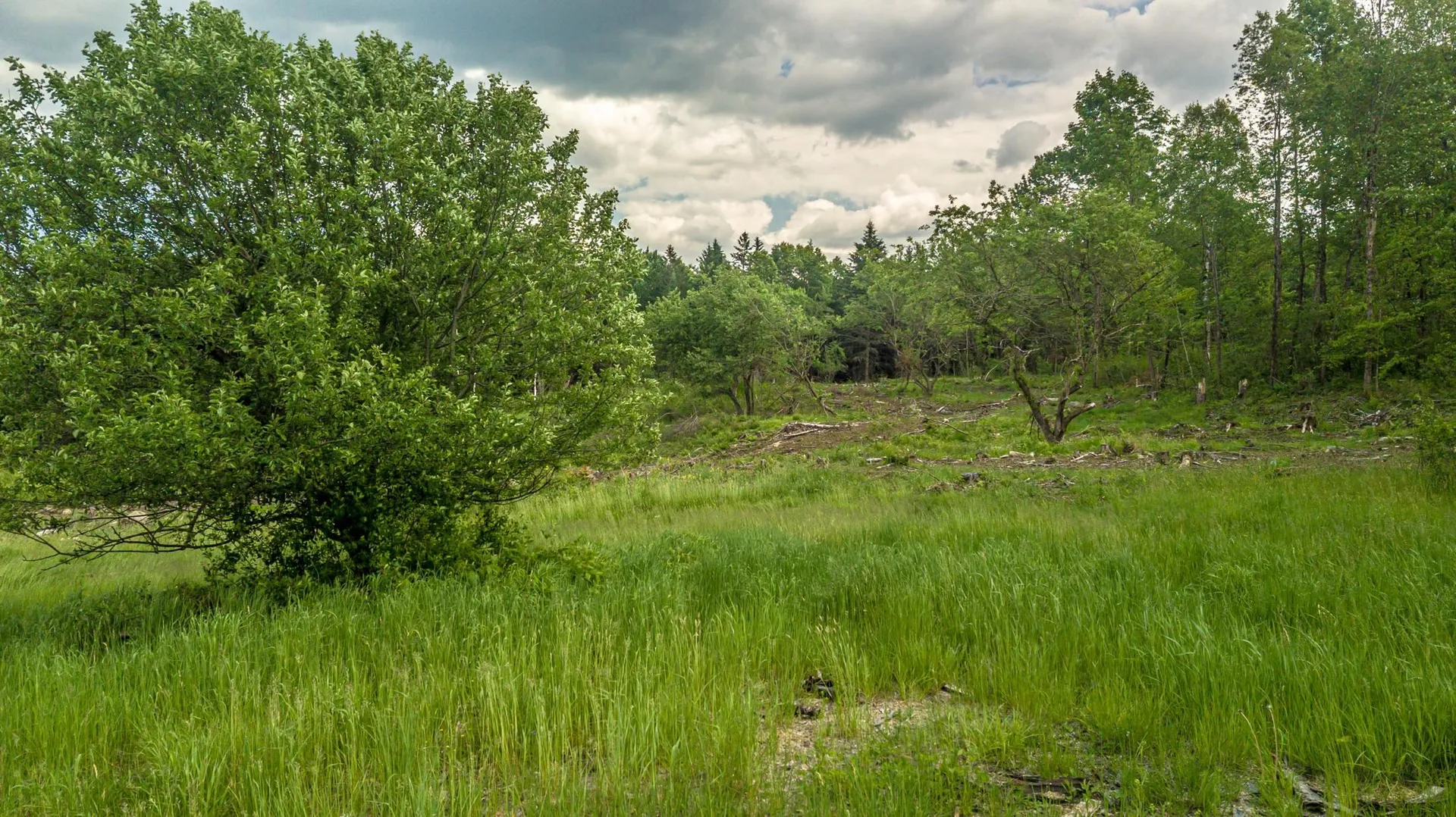 53 Pleasant Valley Road Lancaster NH 03584