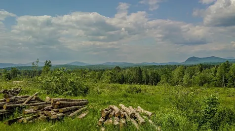 53 Pleasant Valley Road Lancaster NH 03584