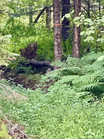 53 Pleasant Valley Road Lancaster NH 03584