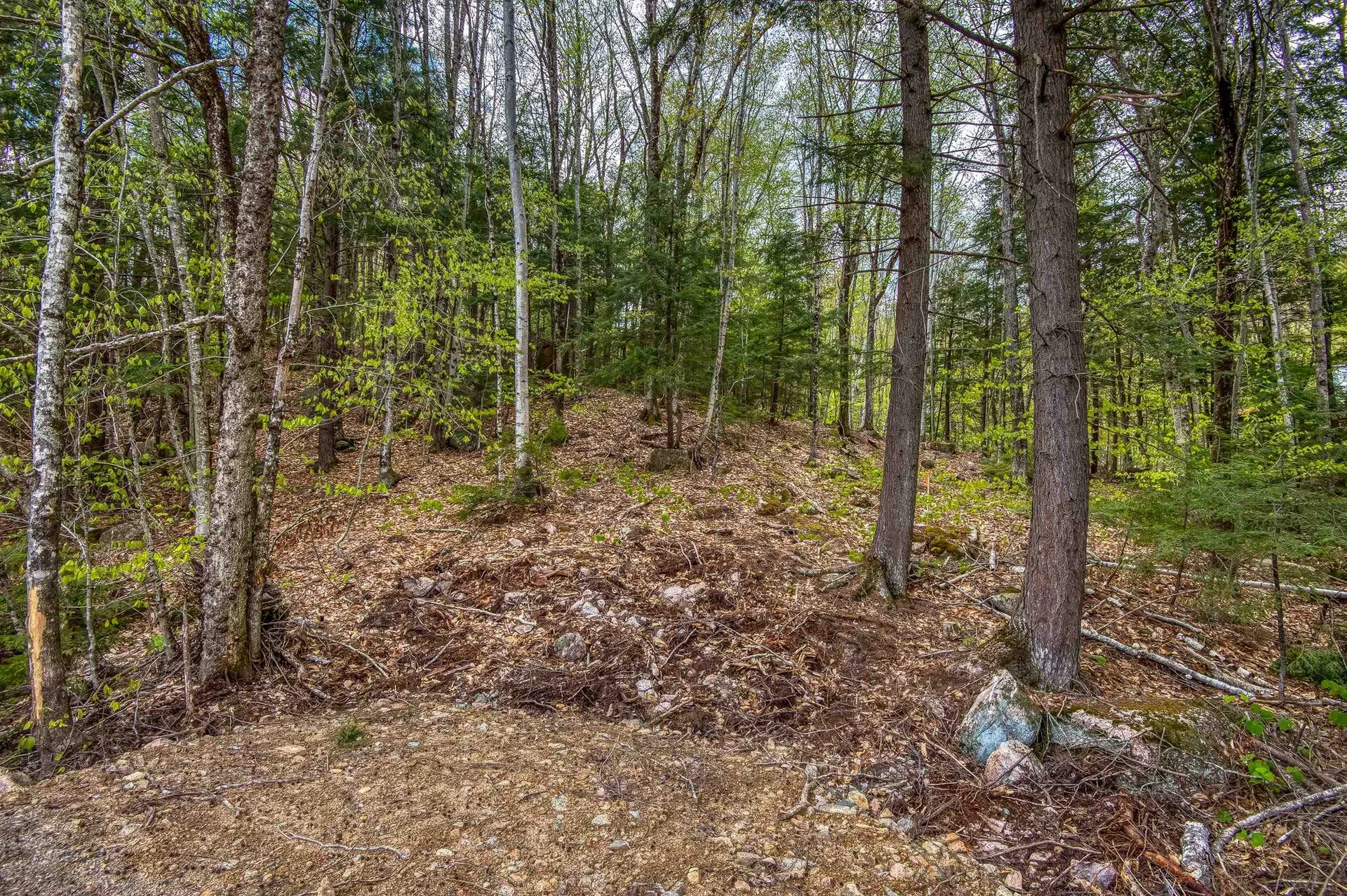 00 Ellis Ridge Road Bartlett NH 03838