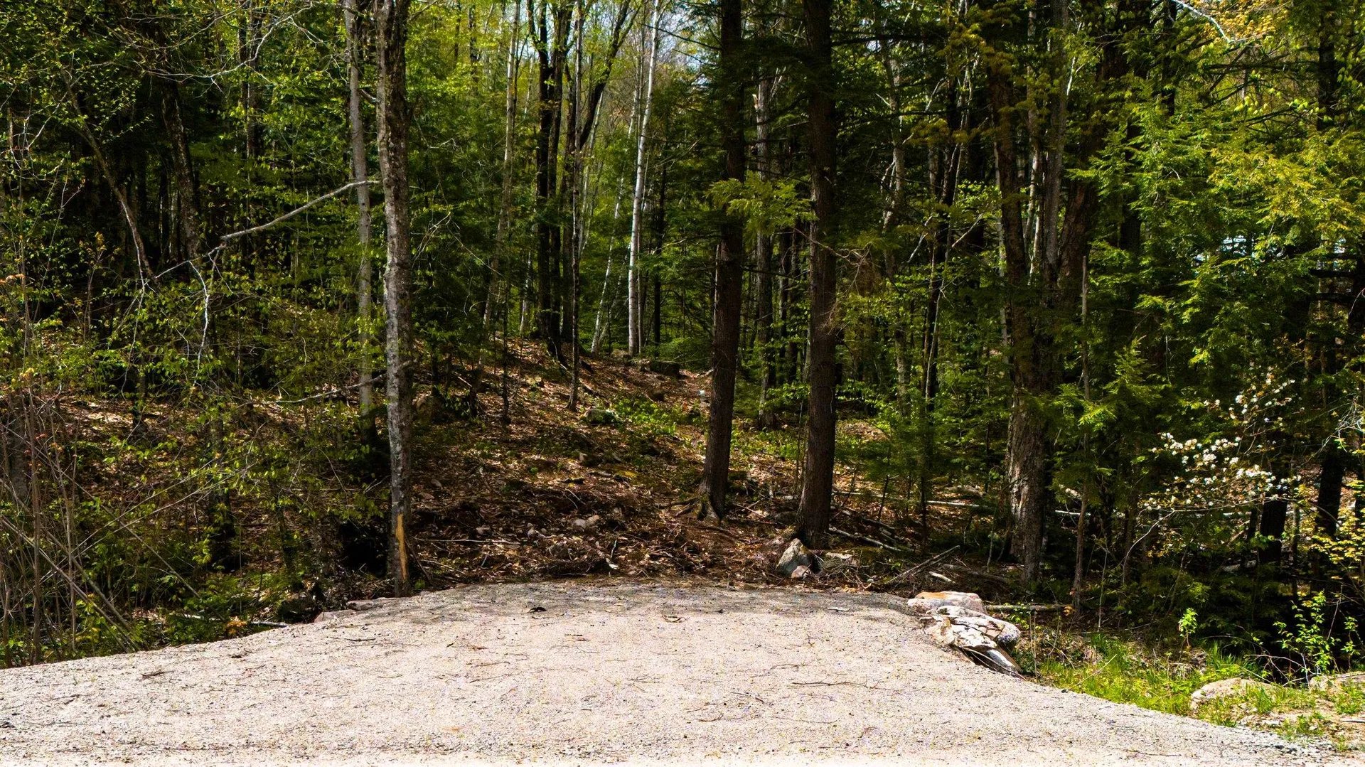 00 Ellis Ridge Road Bartlett NH 03838
