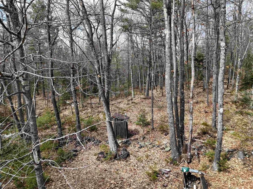 184 Stark Trail Newbury VT 05081