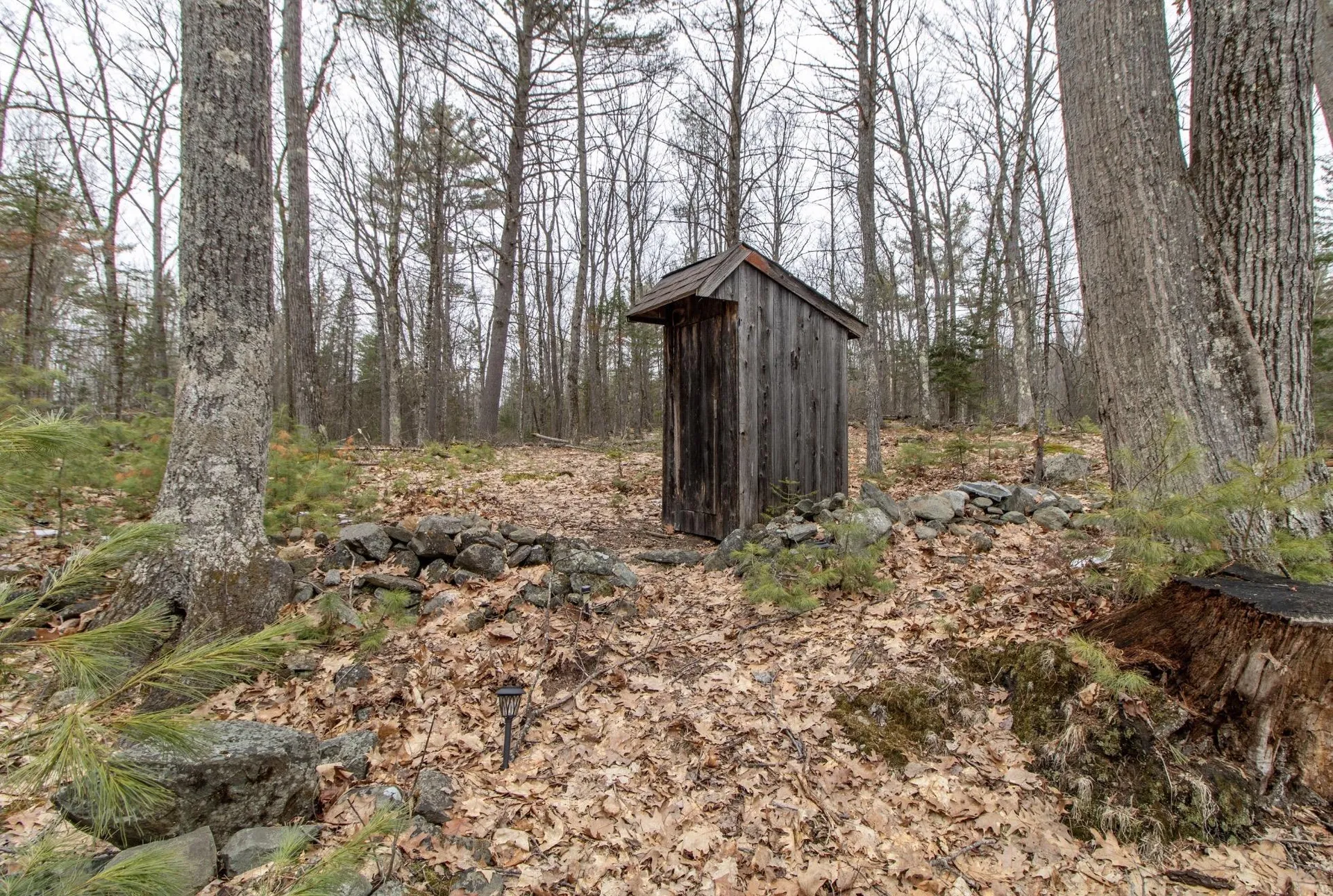 184 Stark Trail Newbury VT 05081
