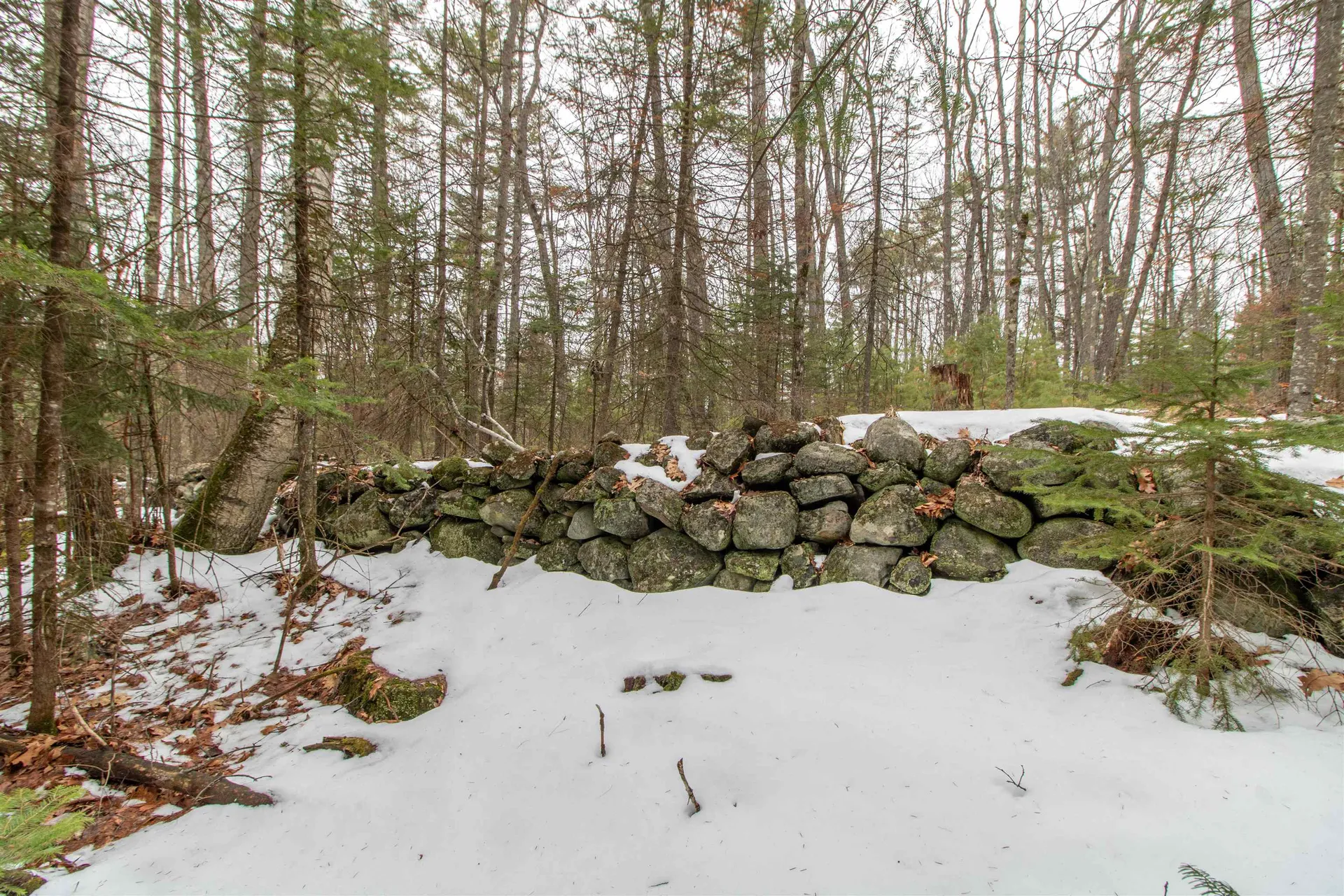 184 Stark Trail Newbury VT 05081