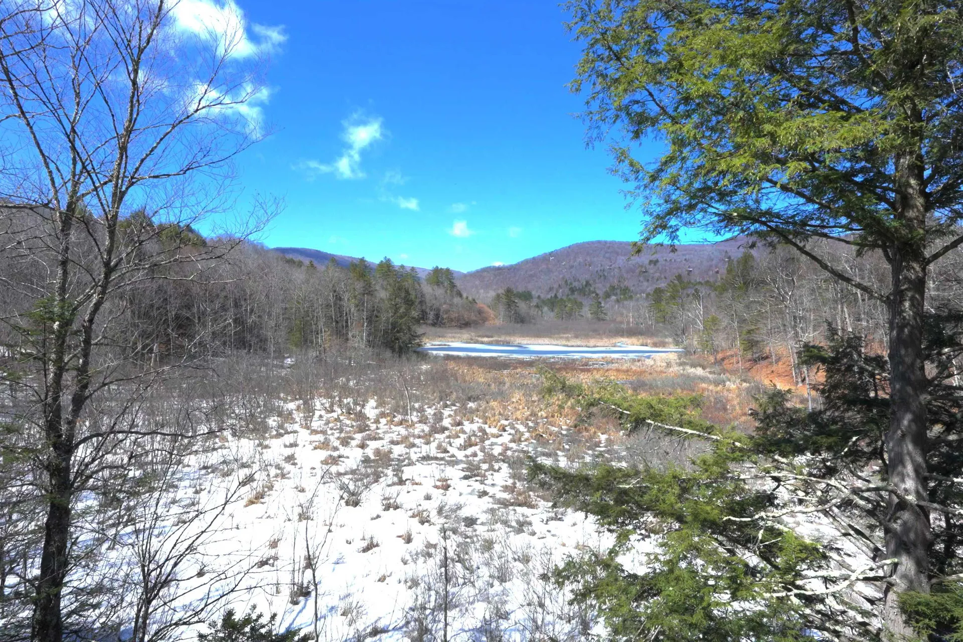 149 Hawk Pond Road Plymouth VT 05056