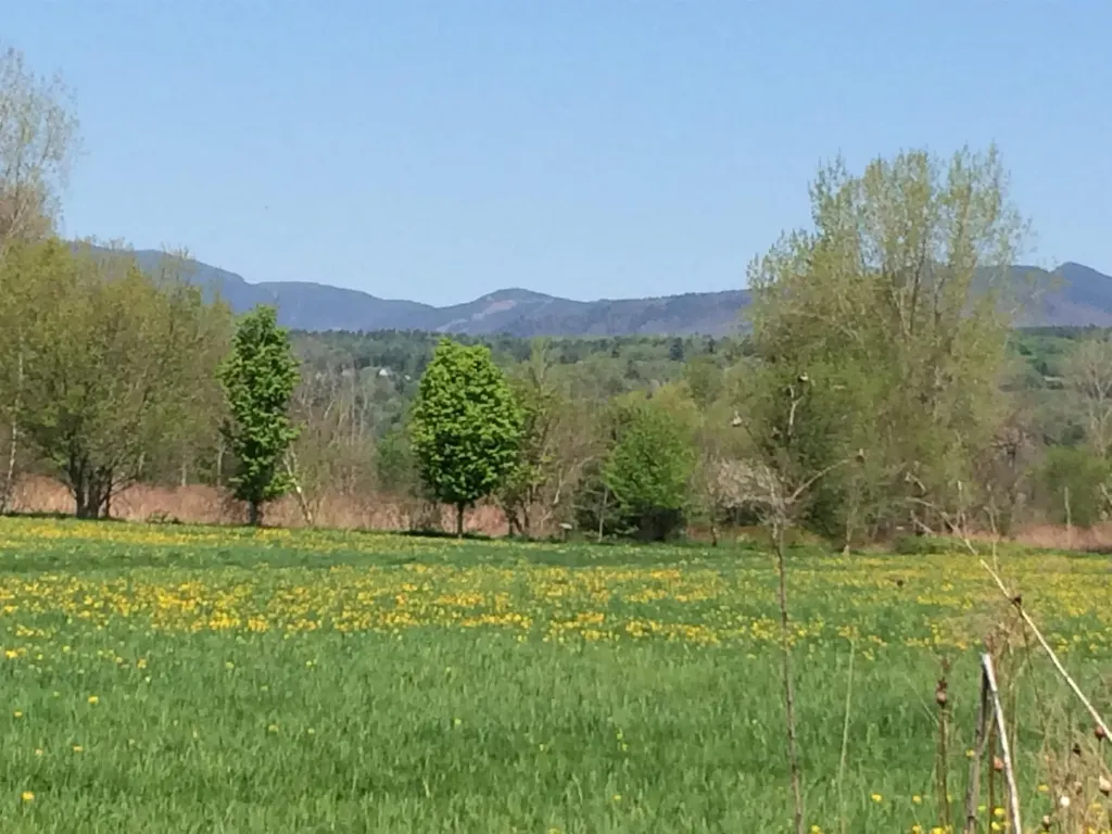 44 Park Place Stowe VT 05672