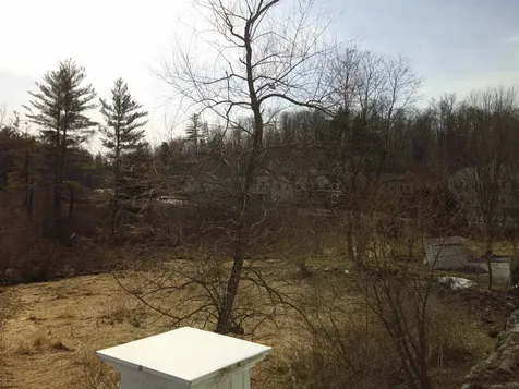 44 Park Place Stowe VT 05672