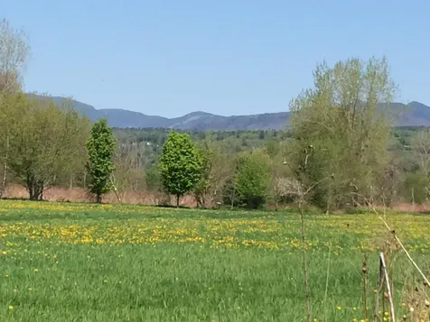 44 Park Place Stowe VT 05672