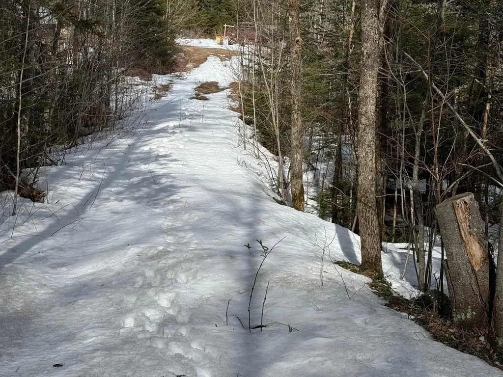 1656 Williamstown Road Washington VT 05675