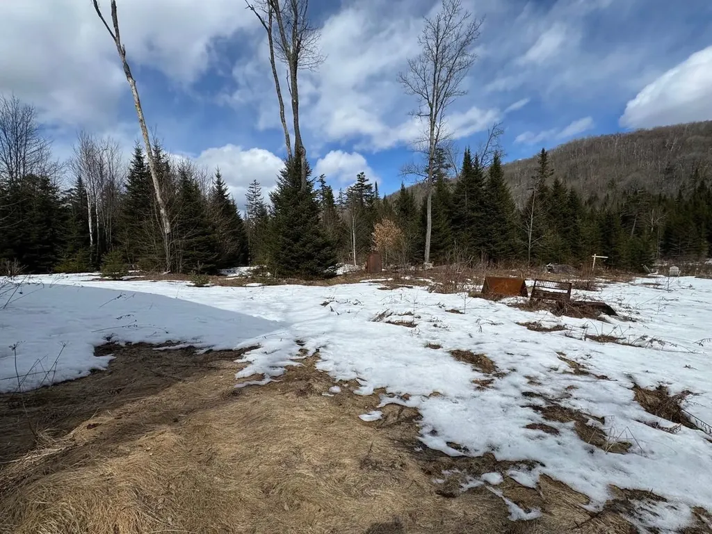 1656 Williamstown Road Washington VT 05675