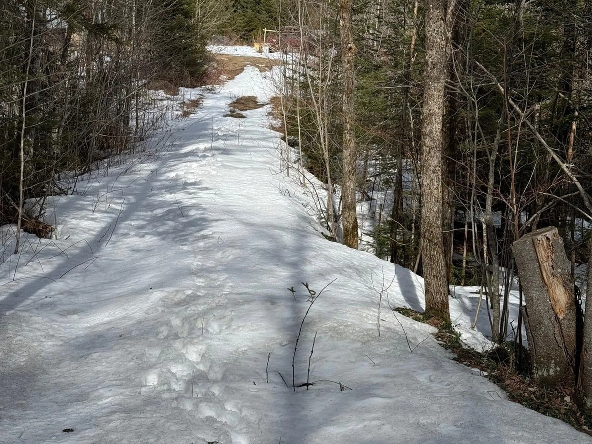 1656 Williamstown Road Washington VT 05675