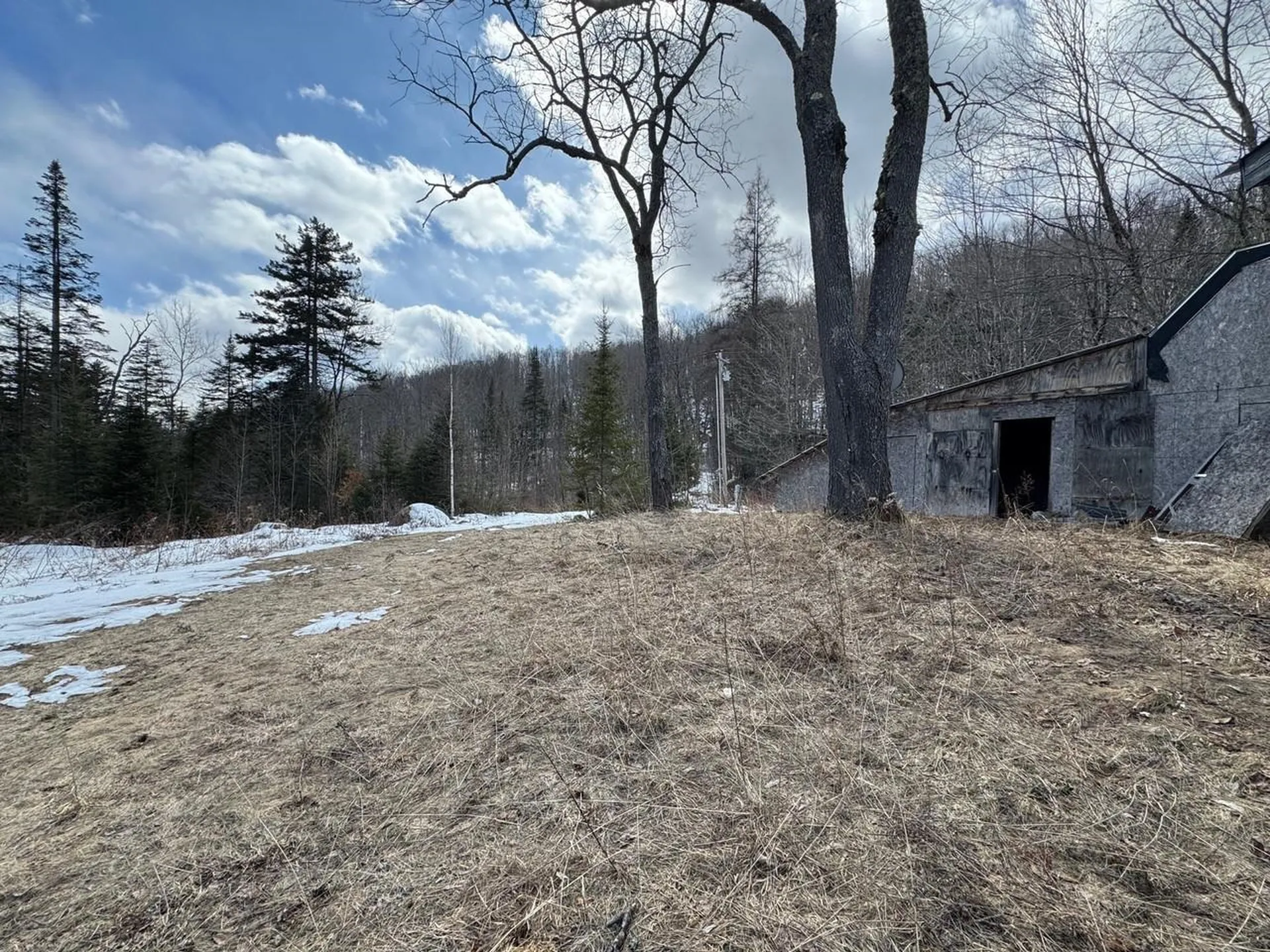 1656 Williamstown Road Washington VT 05675