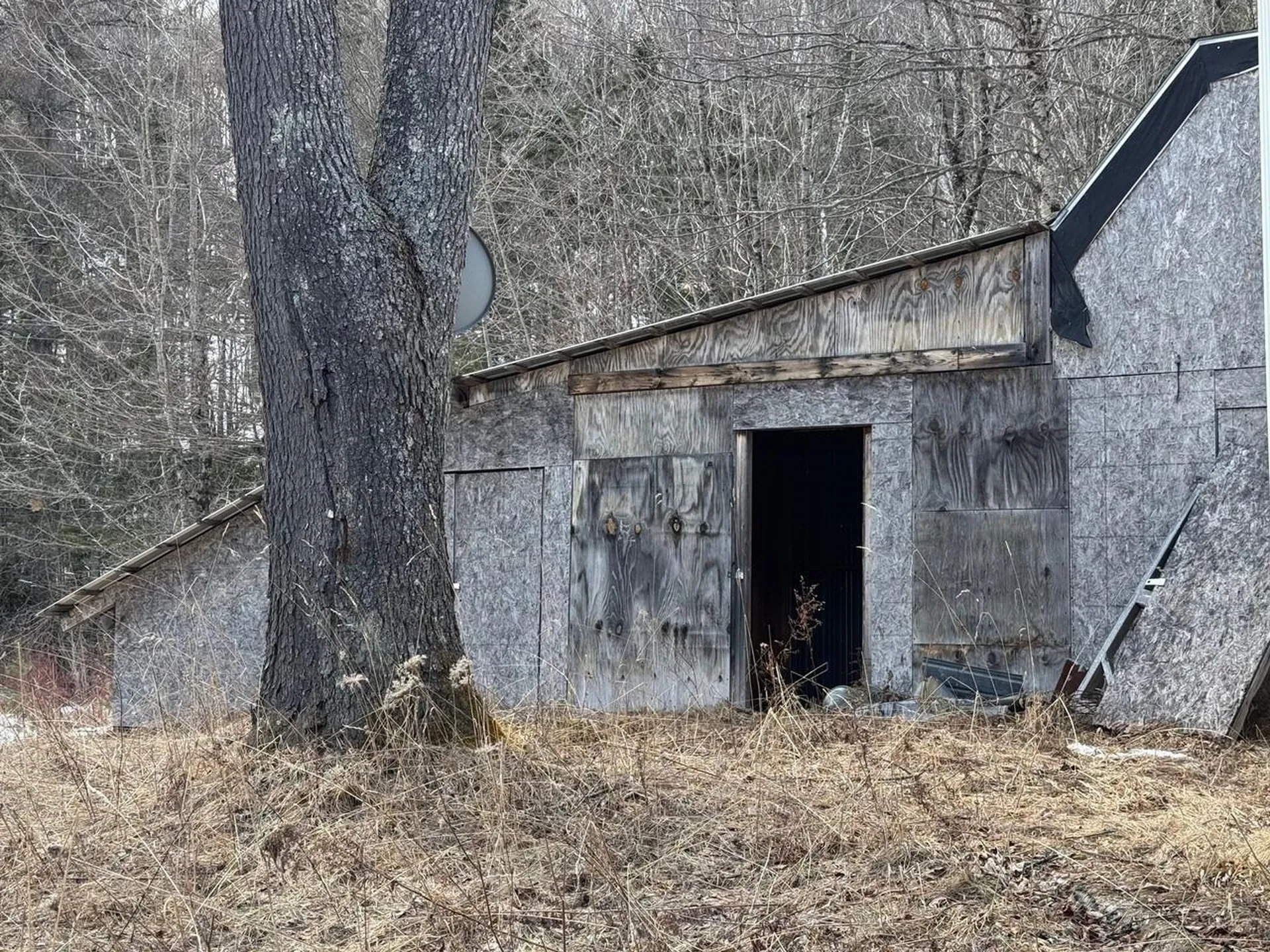 1656 Williamstown Road Washington VT 05675
