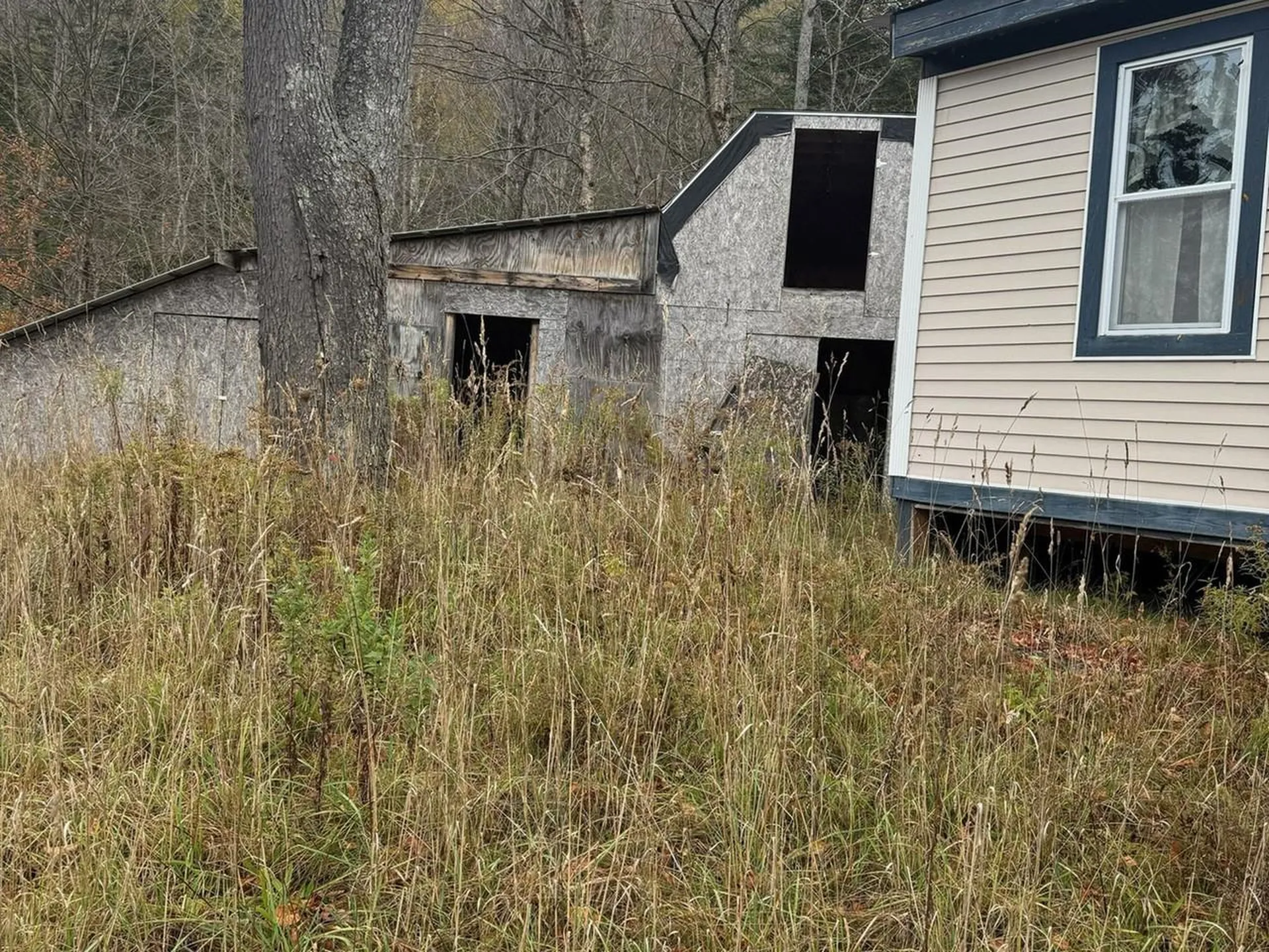 1656 Williamstown Road Washington VT 05675