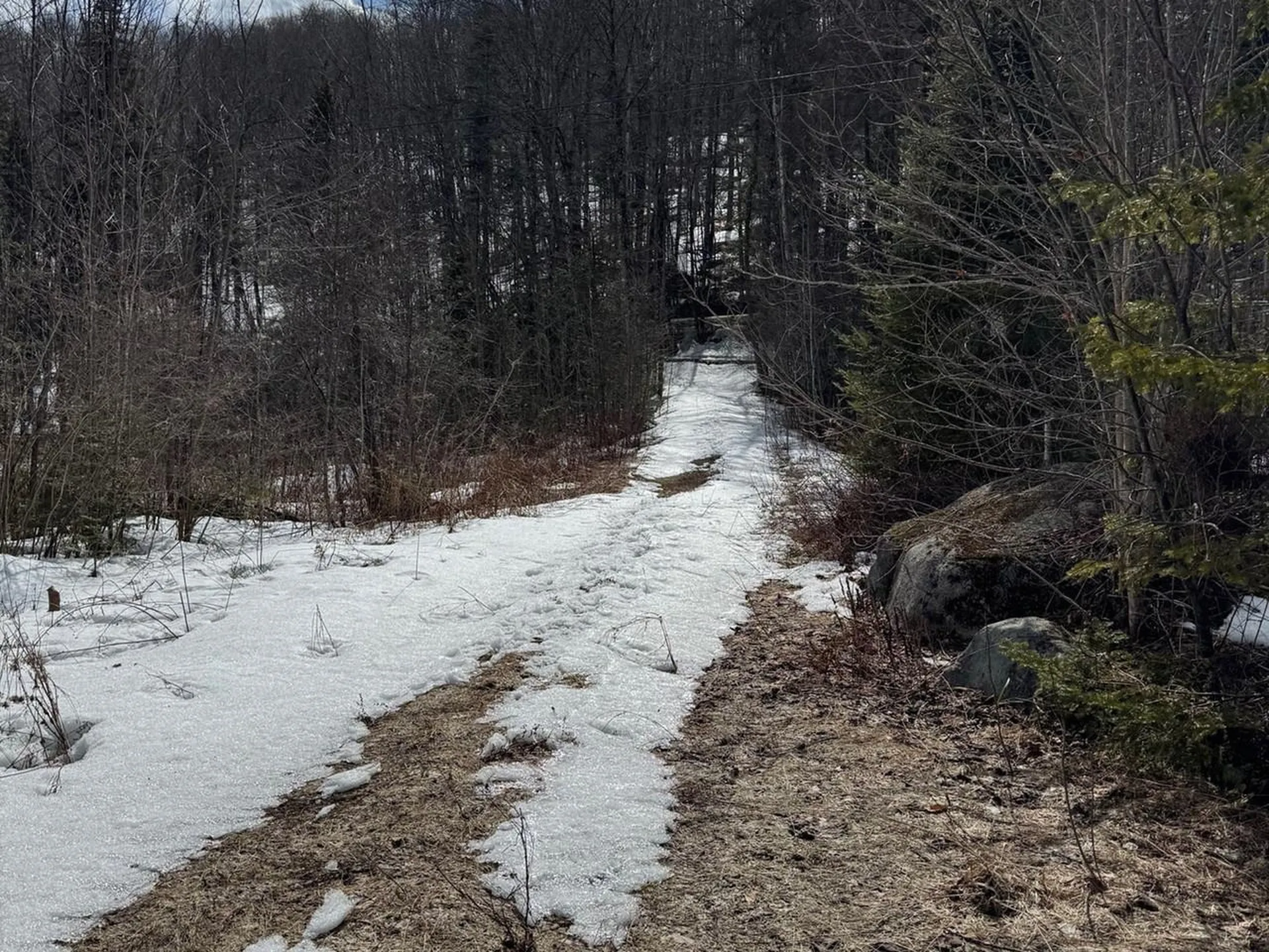 1656 Williamstown Road Washington VT 05675