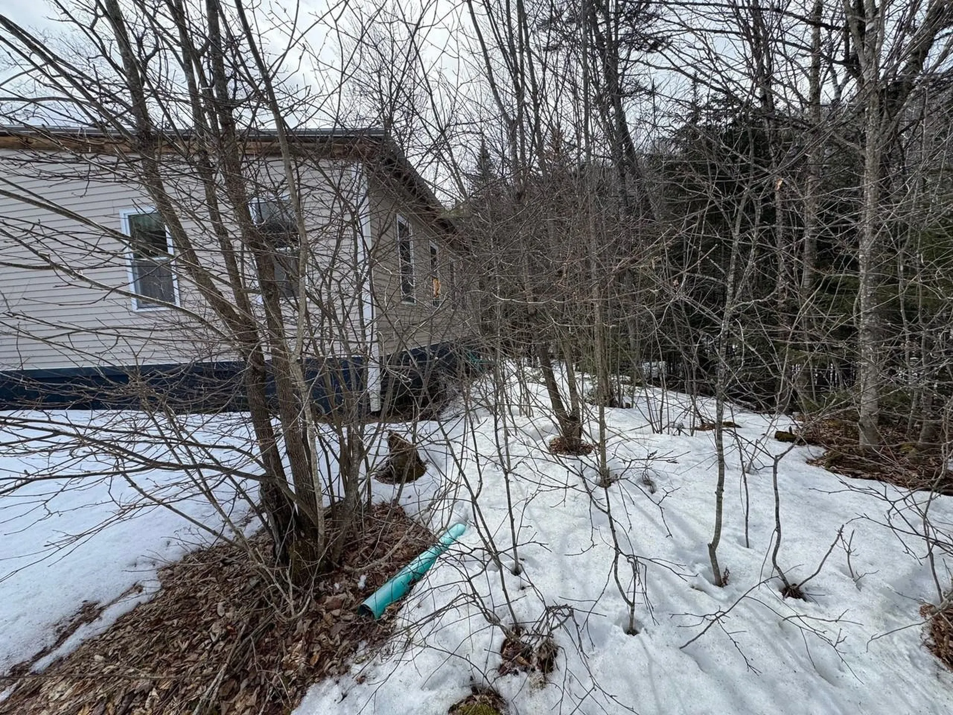 1656 Williamstown Road Washington VT 05675