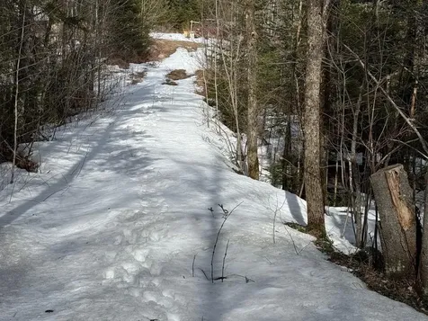 1656 Williamstown Road Washington VT 05675