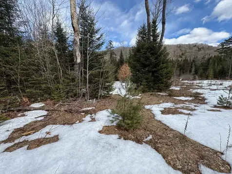 1656 Williamstown Road Washington VT 05675