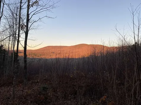 0 Joanne Drive Burke VT 05832