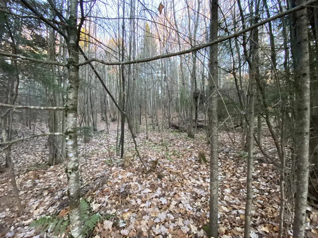 0 Washburn Road Burke VT 05832