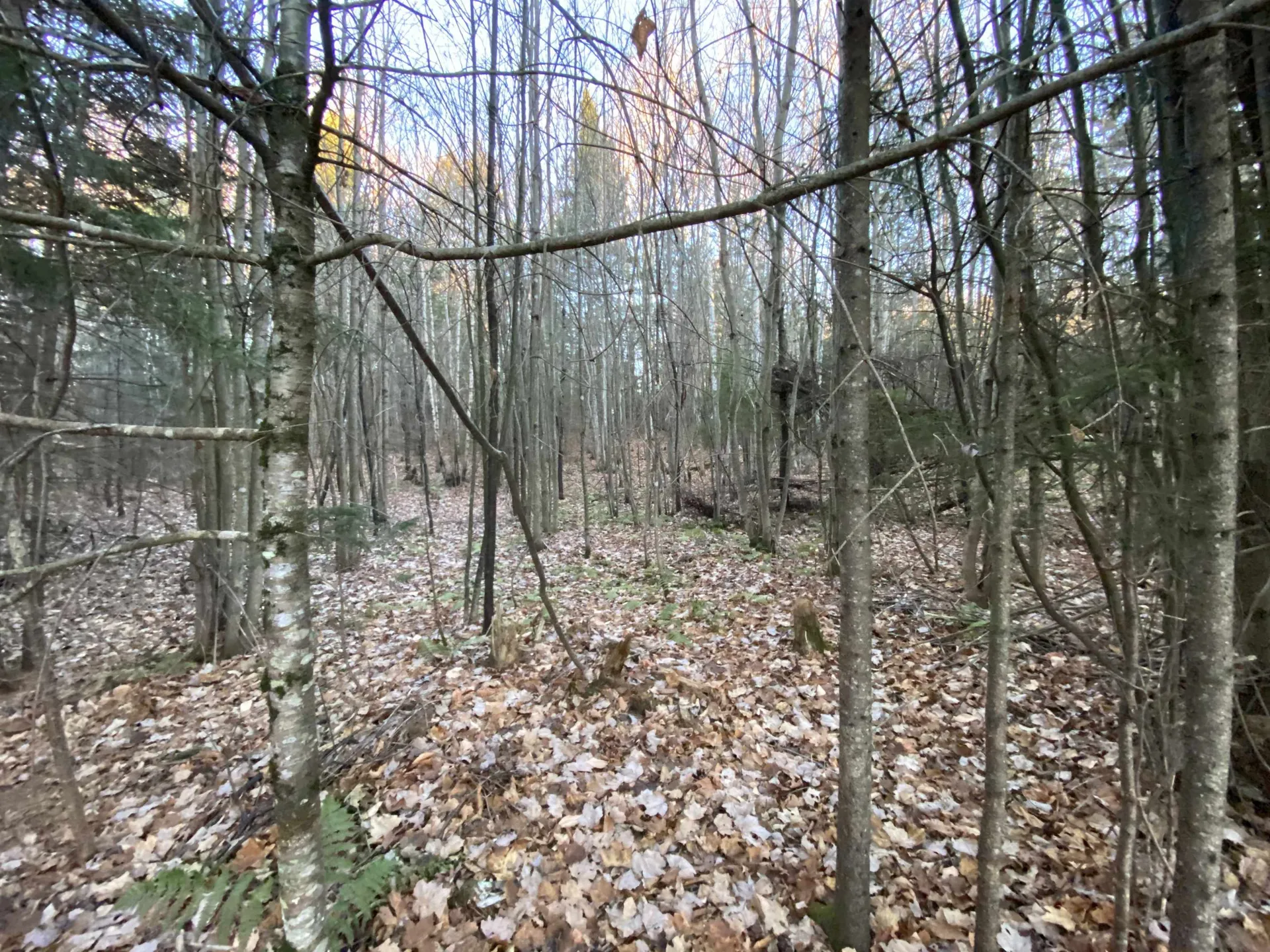 0 Washburn Road Burke VT 05832