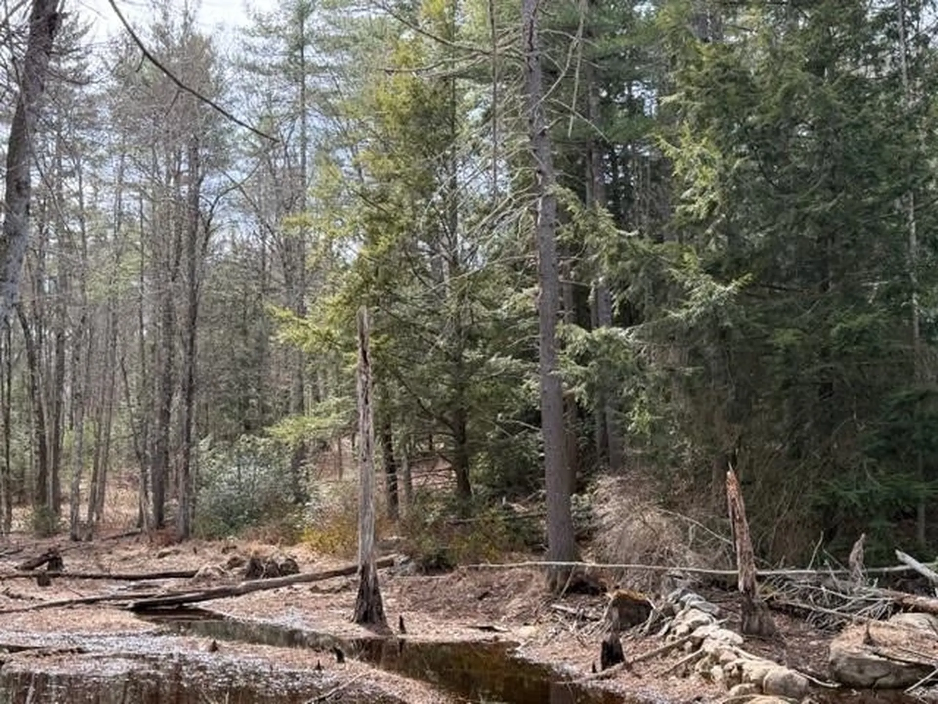 0 Ruonala Road Milford NH 03055