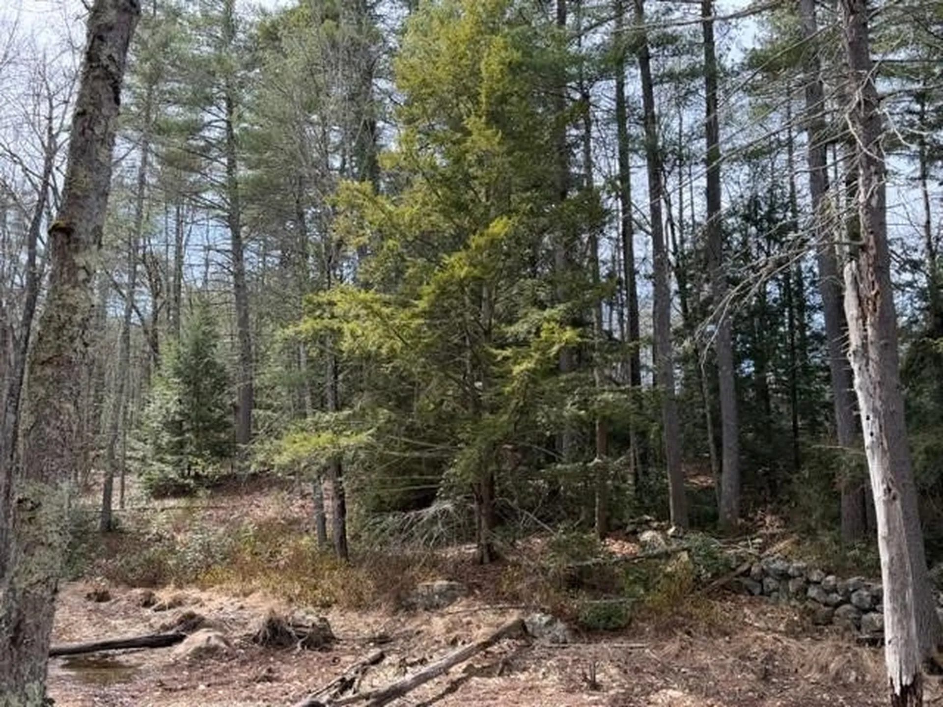 0 Ruonala Road Milford NH 03055