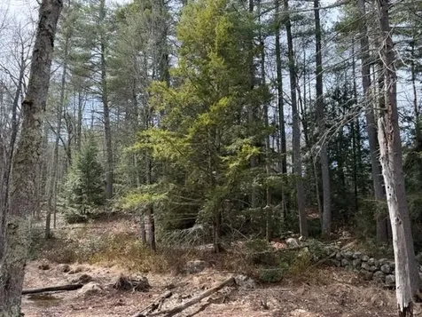 0 Ruonala Road Milford NH 03055