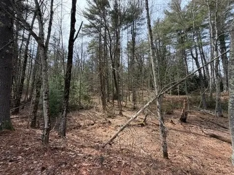 0 Ruonala Road Milford NH 03055