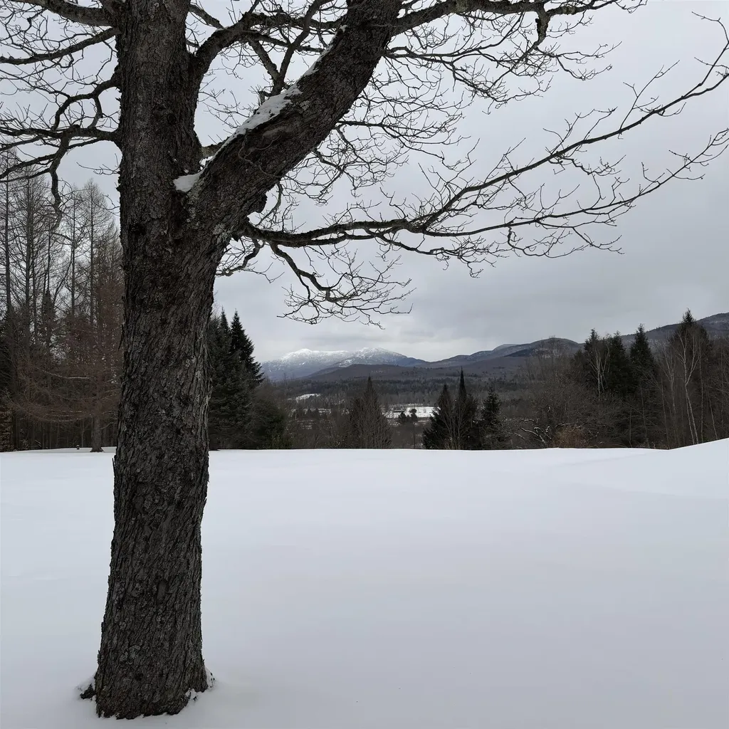 65 Bentley Lane Jericho VT 05465