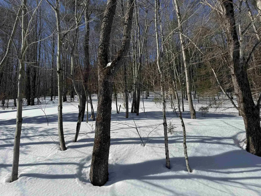 65 Bentley Lane Jericho VT 05465