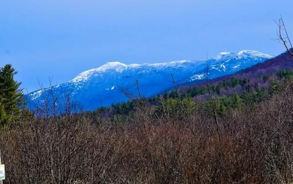 65 Bentley Lane Jericho VT 05465