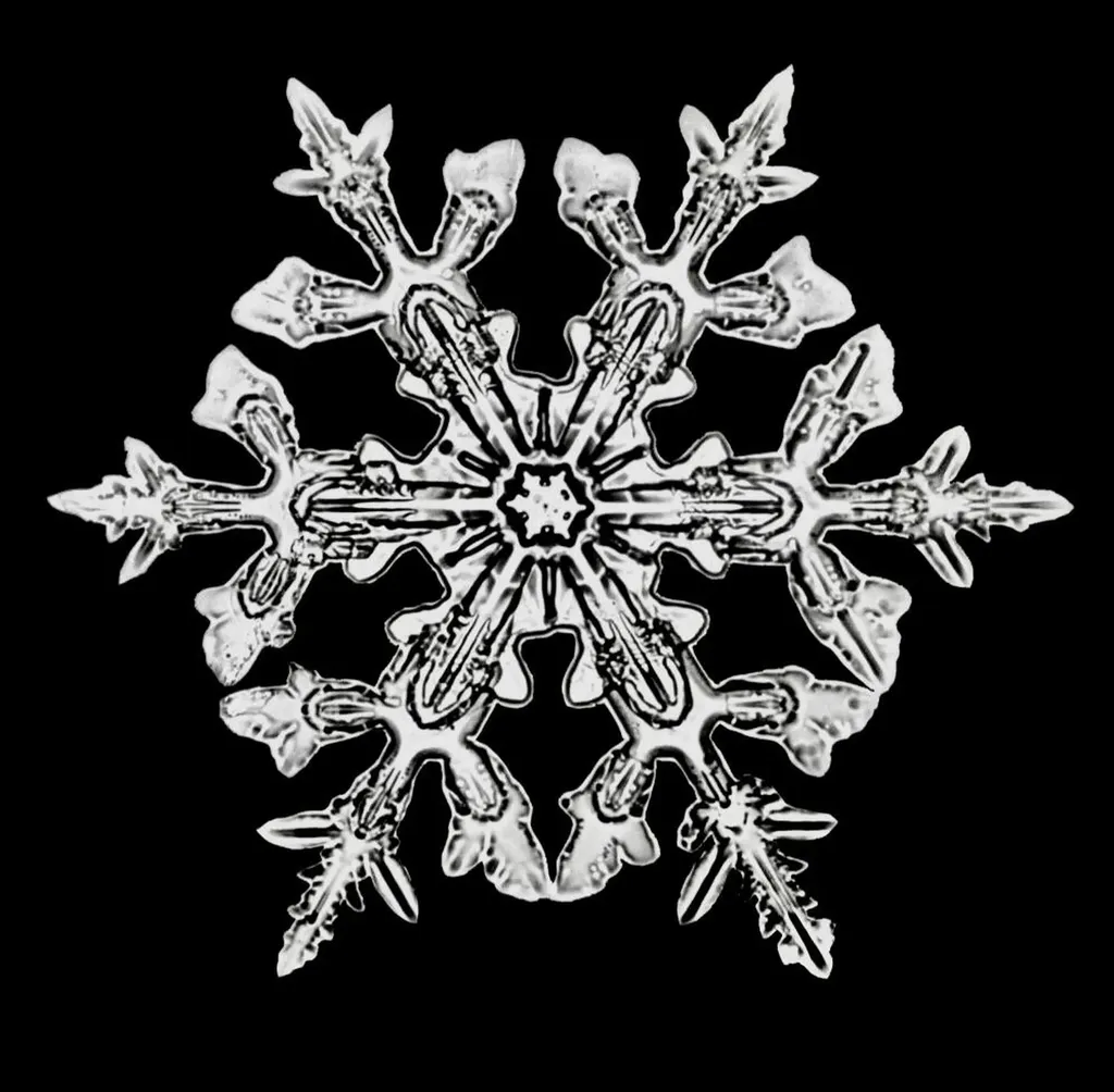 65 Bentley Lane Jericho VT 05465