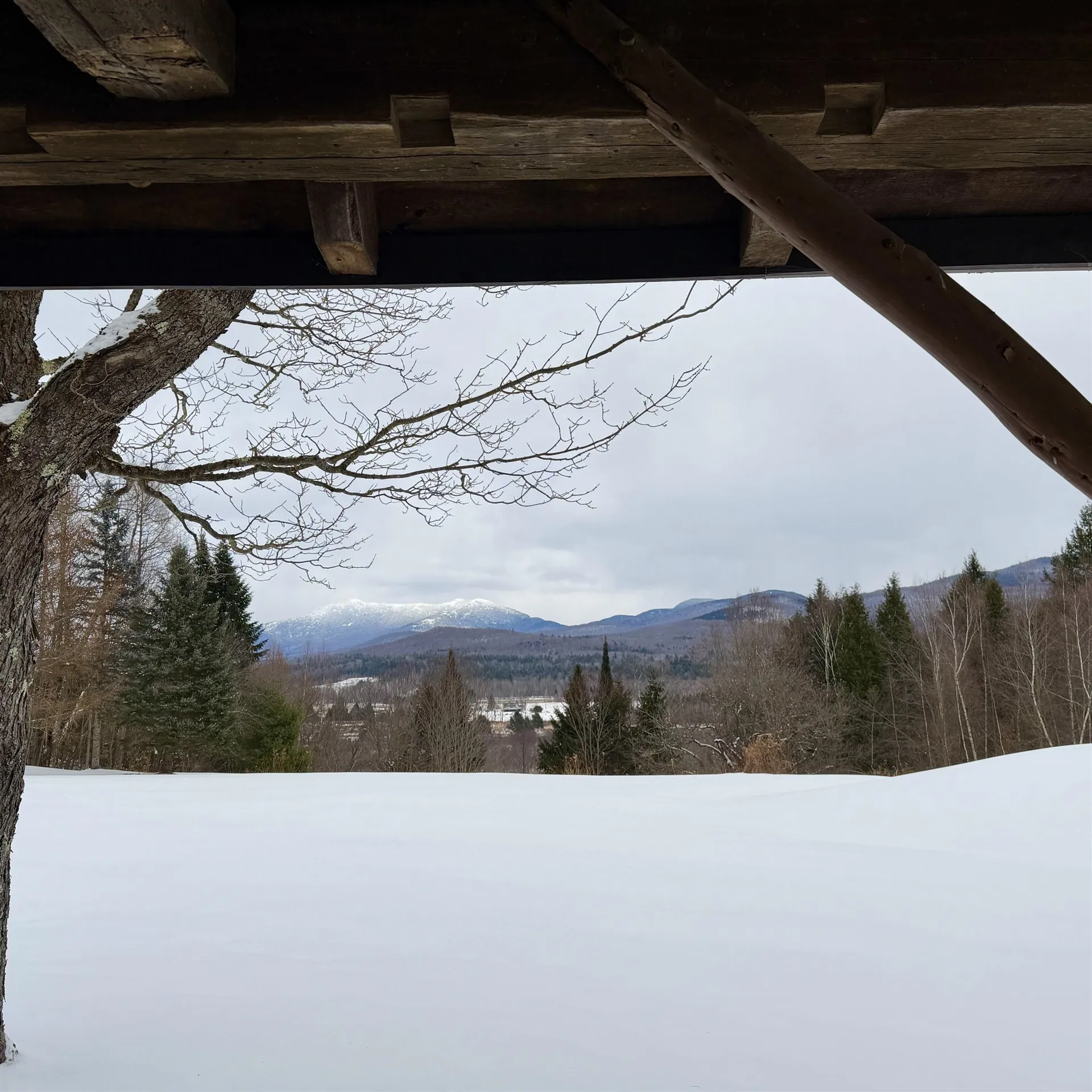 65 Bentley Lane Jericho VT 05465