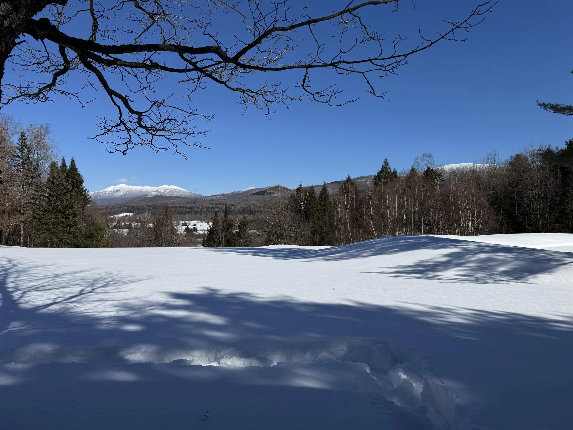 65 Bentley Lane Jericho VT 05465