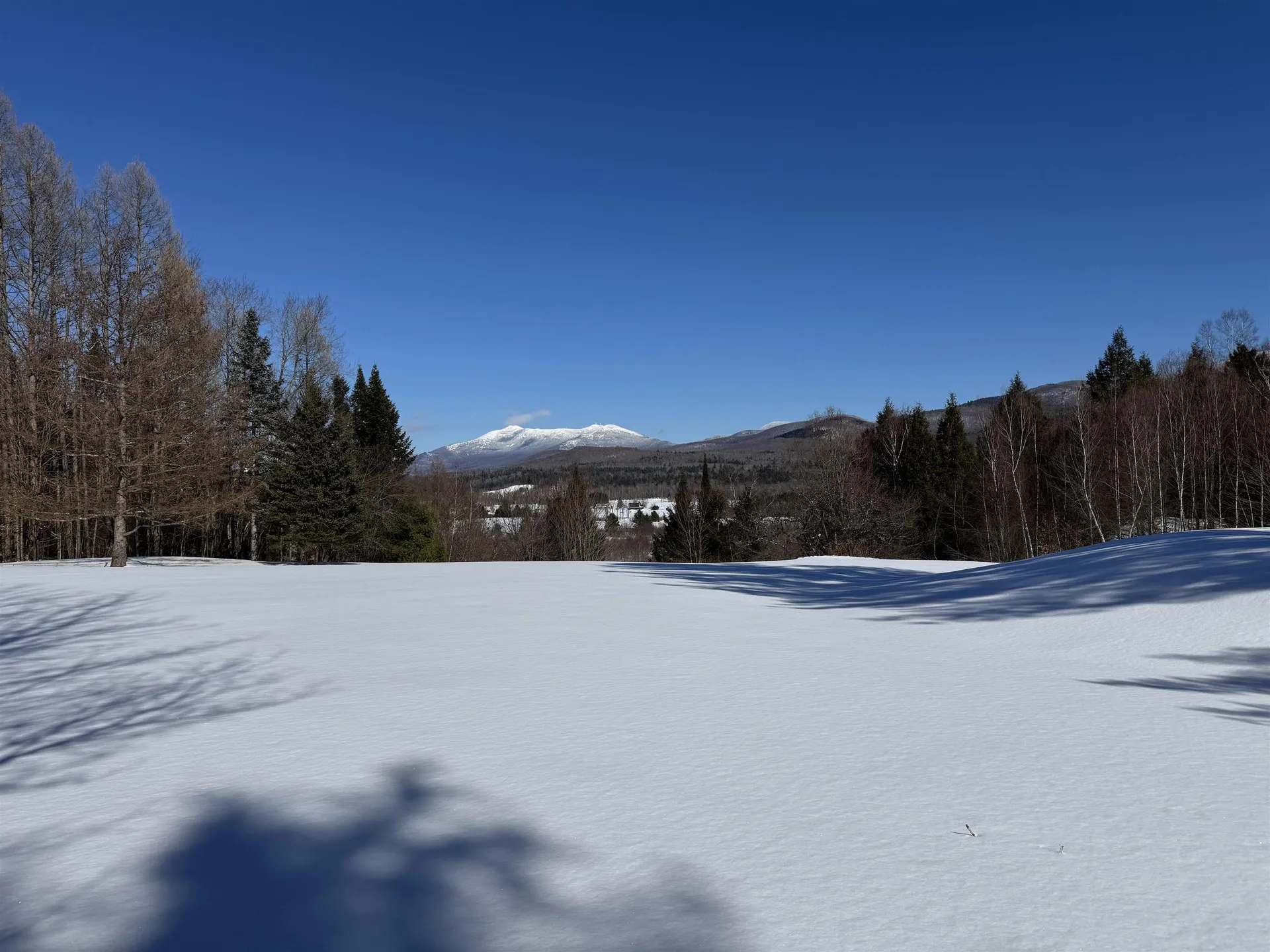 65 Bentley Lane Jericho VT 05465