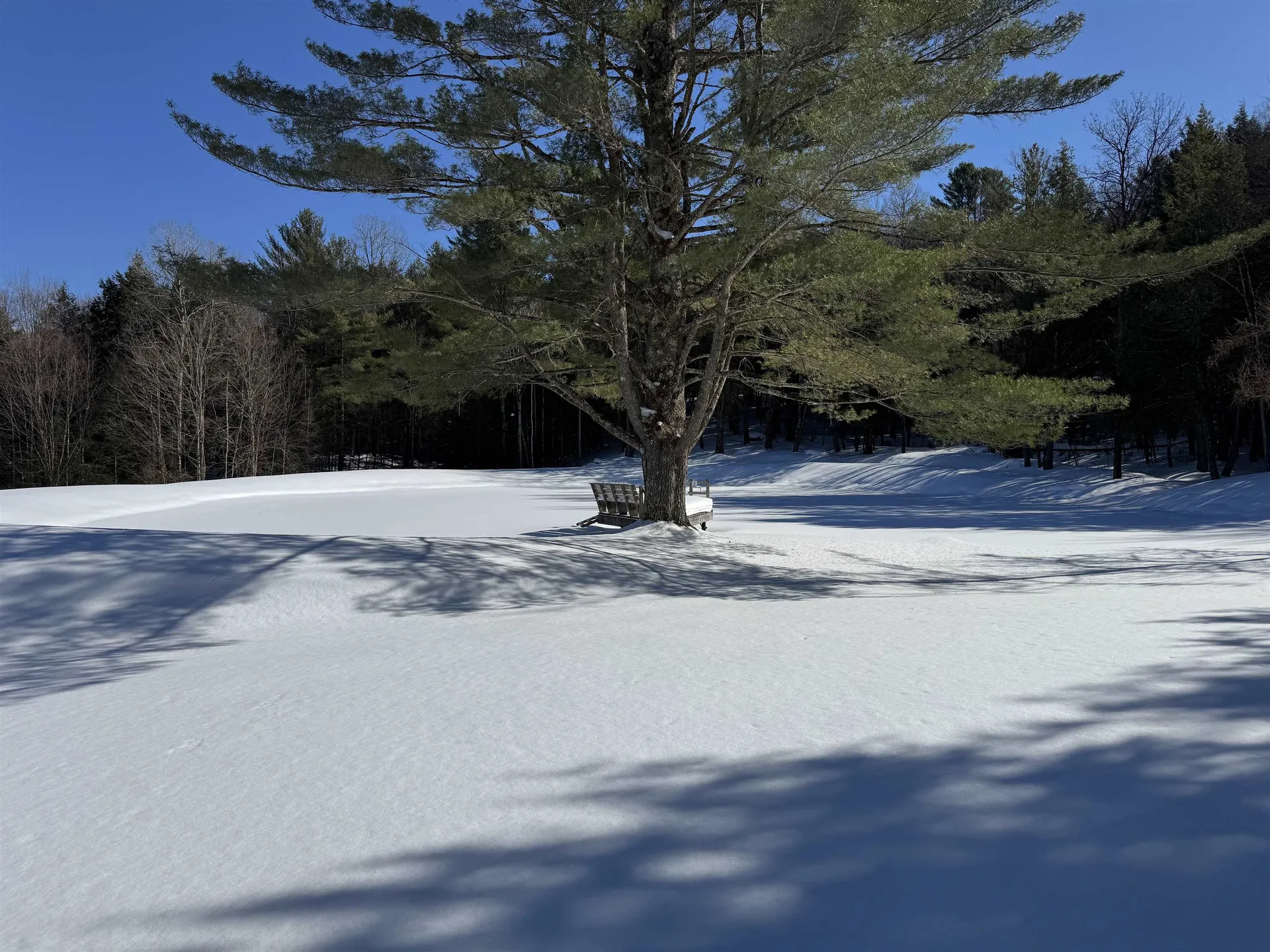 65 Bentley Lane Jericho VT 05465