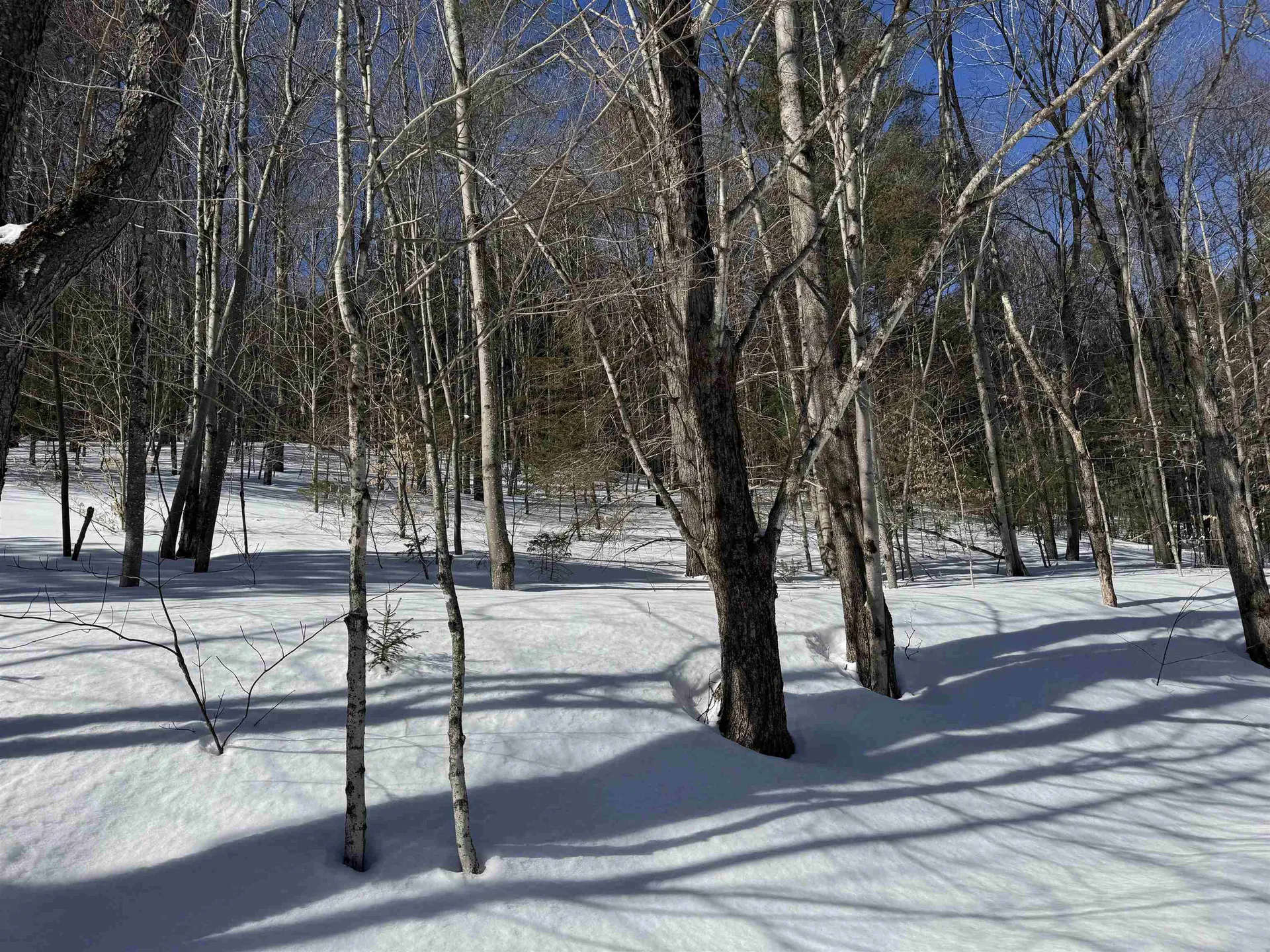 65 Bentley Lane Jericho VT 05465