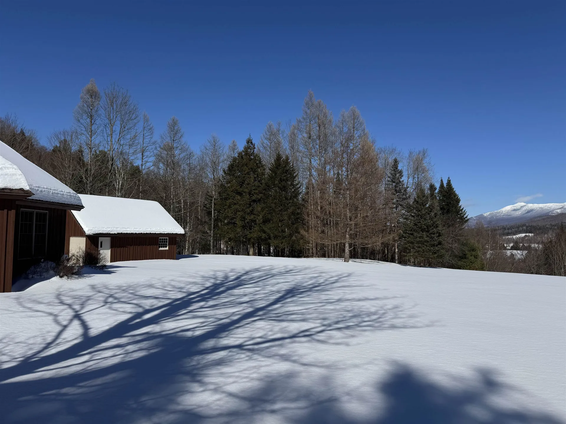 65 Bentley Lane Jericho VT 05465