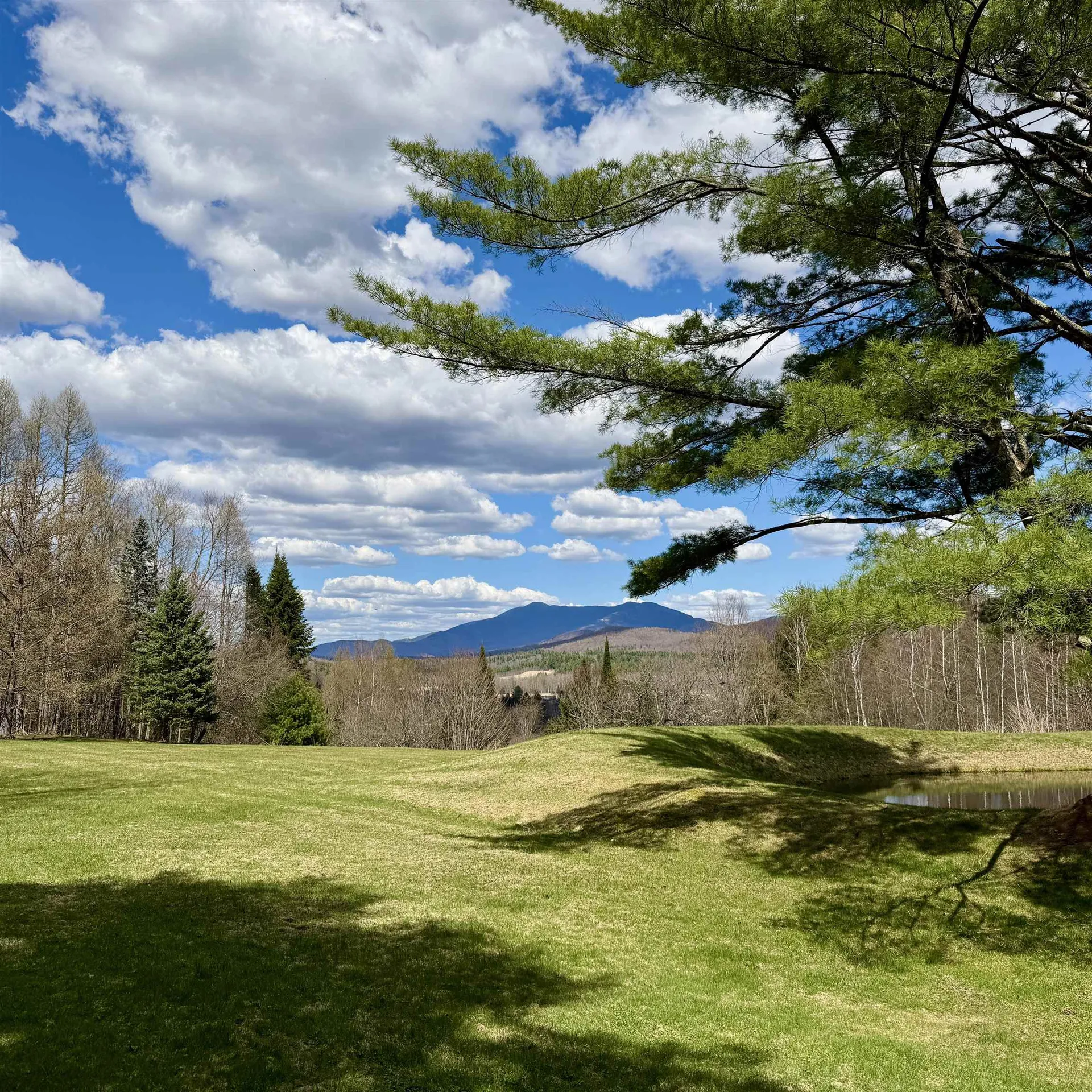 65 Bentley Lane Jericho VT 05465