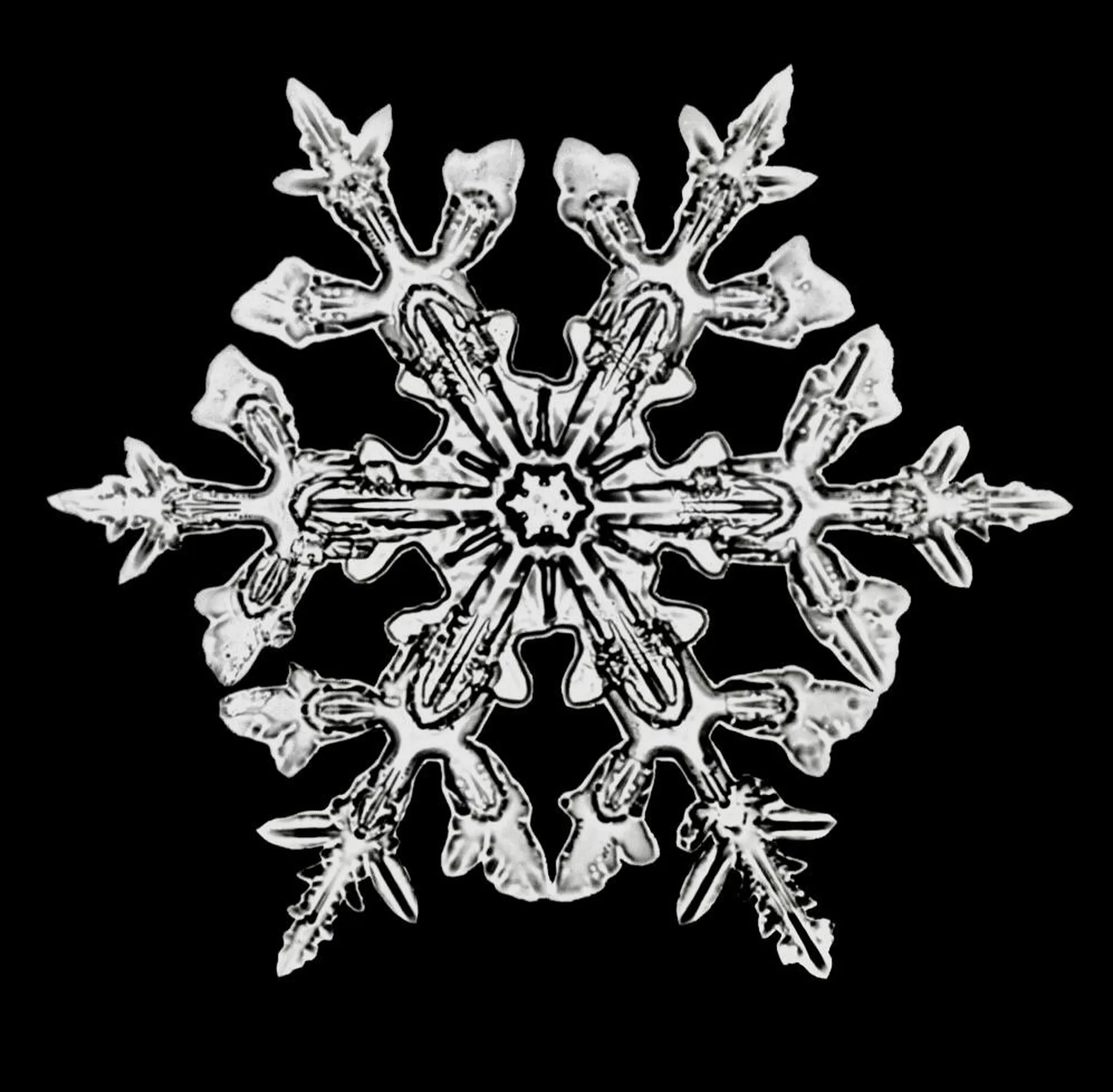 65 Bentley Lane Jericho VT 05465