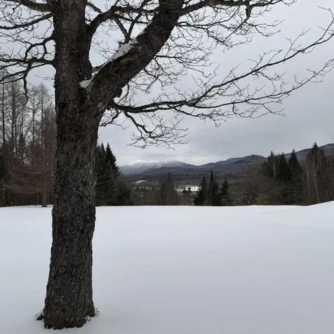 65 Bentley Lane Jericho VT 05465