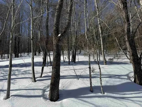 65 Bentley Lane Jericho VT 05465