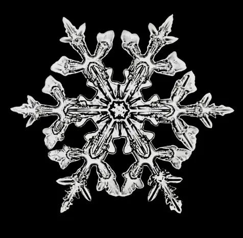 65 Bentley Lane Jericho VT 05465