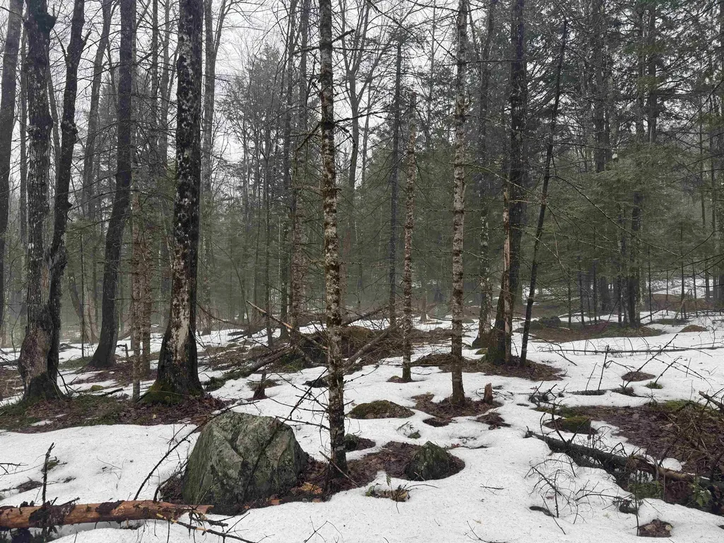 3826 Leighton Hill Road Newbury VT 05081