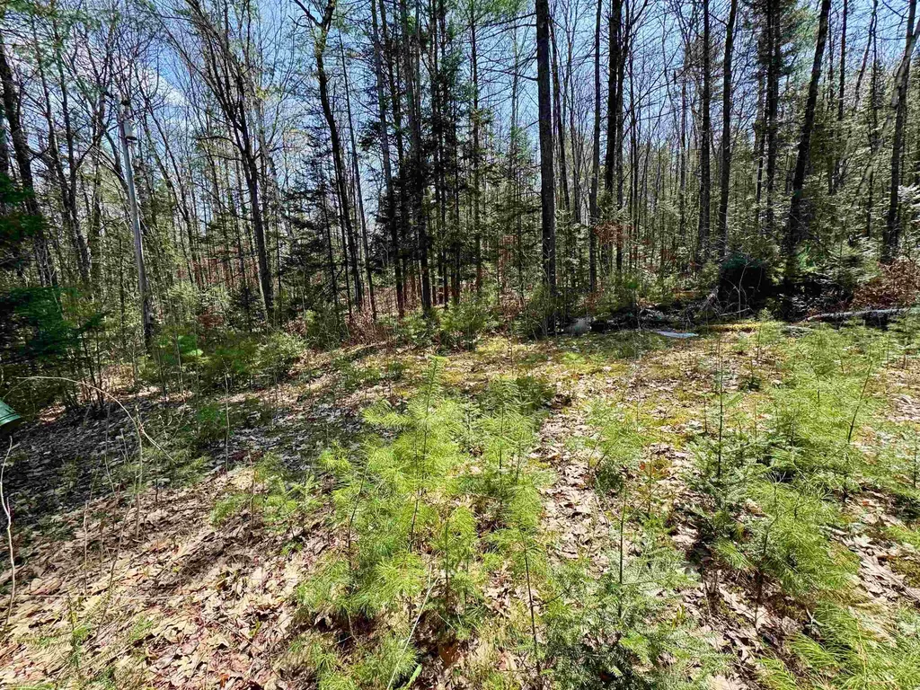 3826 Leighton Hill Road Newbury VT 05081