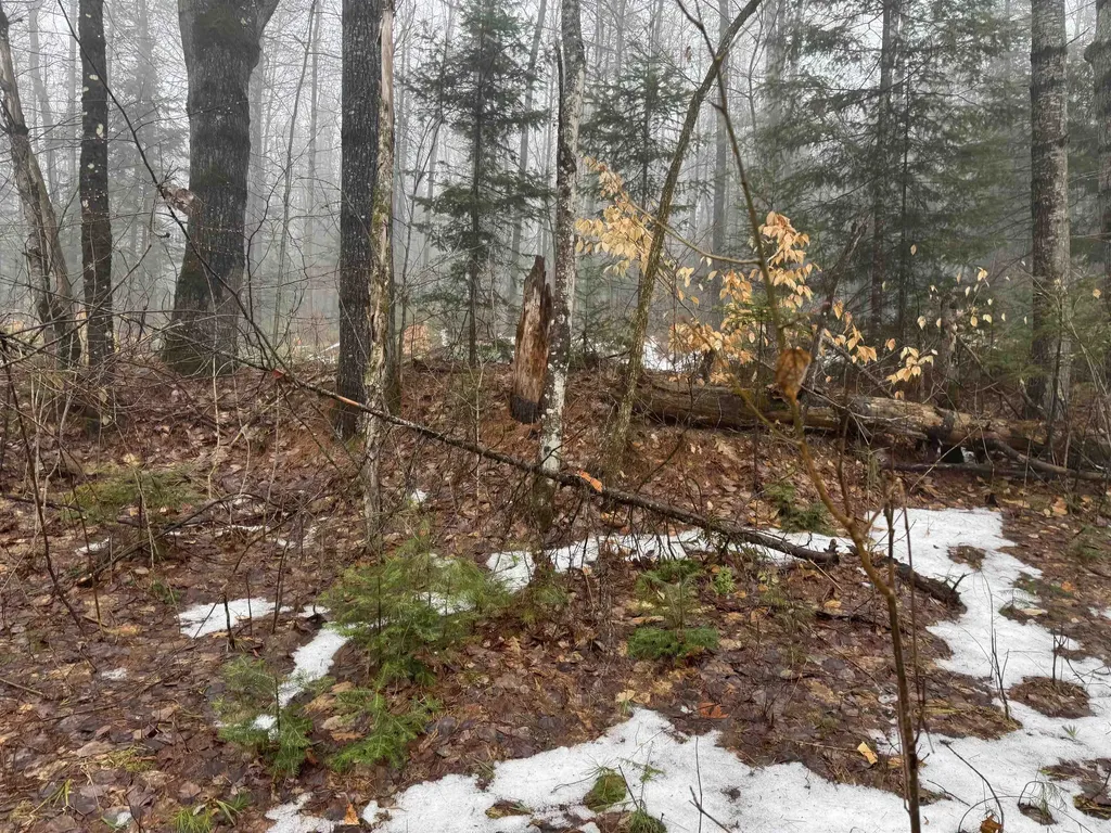 3826 Leighton Hill Road Newbury VT 05081